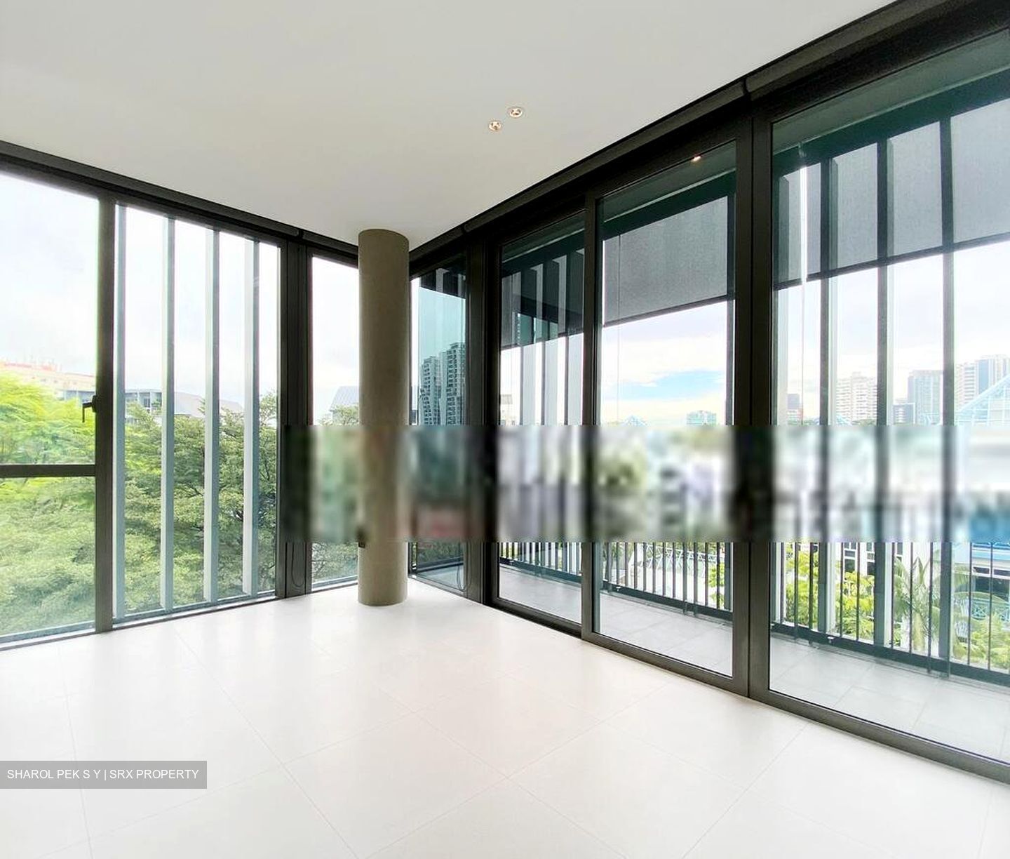 PETIT JERVOIS (D10), Apartment #401049421